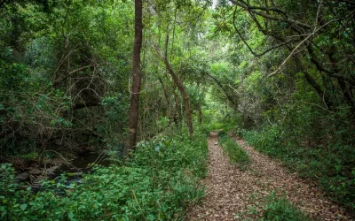 LEKGALAMEETSE 4X4 ROUTE