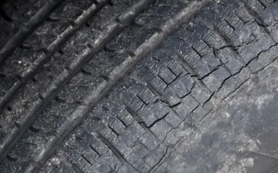 DRY ROT: WHAT IS IT AND HOW DO YOU PREVENT IT?